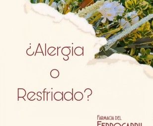 ¿Sabes la diferencia entre alergia y resfriado?